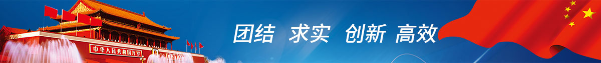 中鋼洛耐科技股份有限公司 中鋼洛耐科技股份有限公司